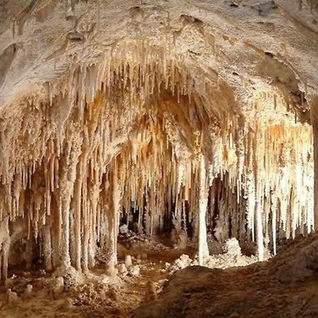 la casetta del pettirosso Villa Conversano Esterno foto