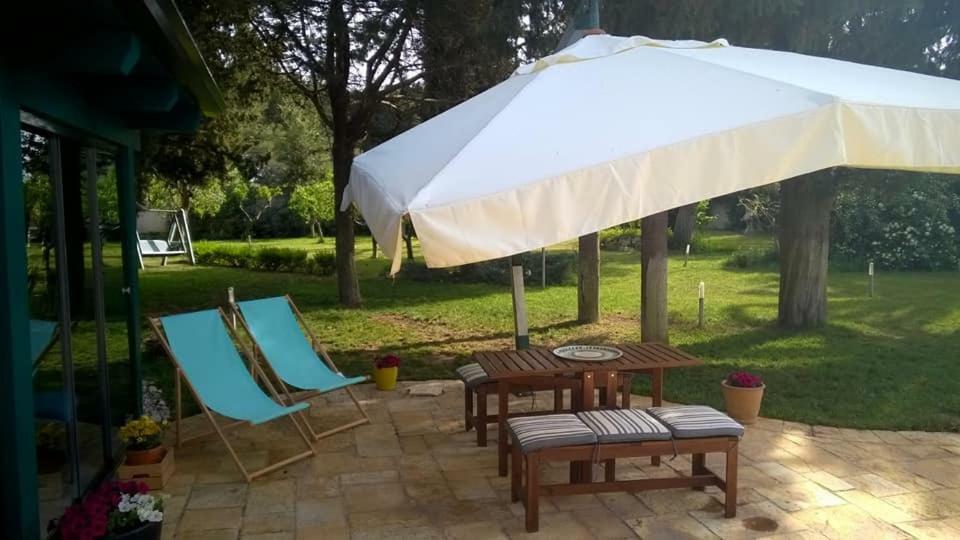 la casetta del pettirosso Villa Conversano Esterno foto